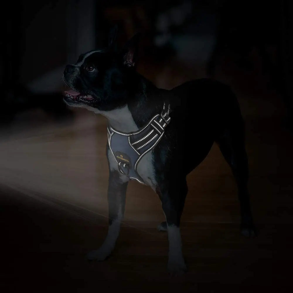 Dog Nylon Adjustable Reflective Dog Vest, No Pull, 2 Metal Leash Hooks, Easy Control