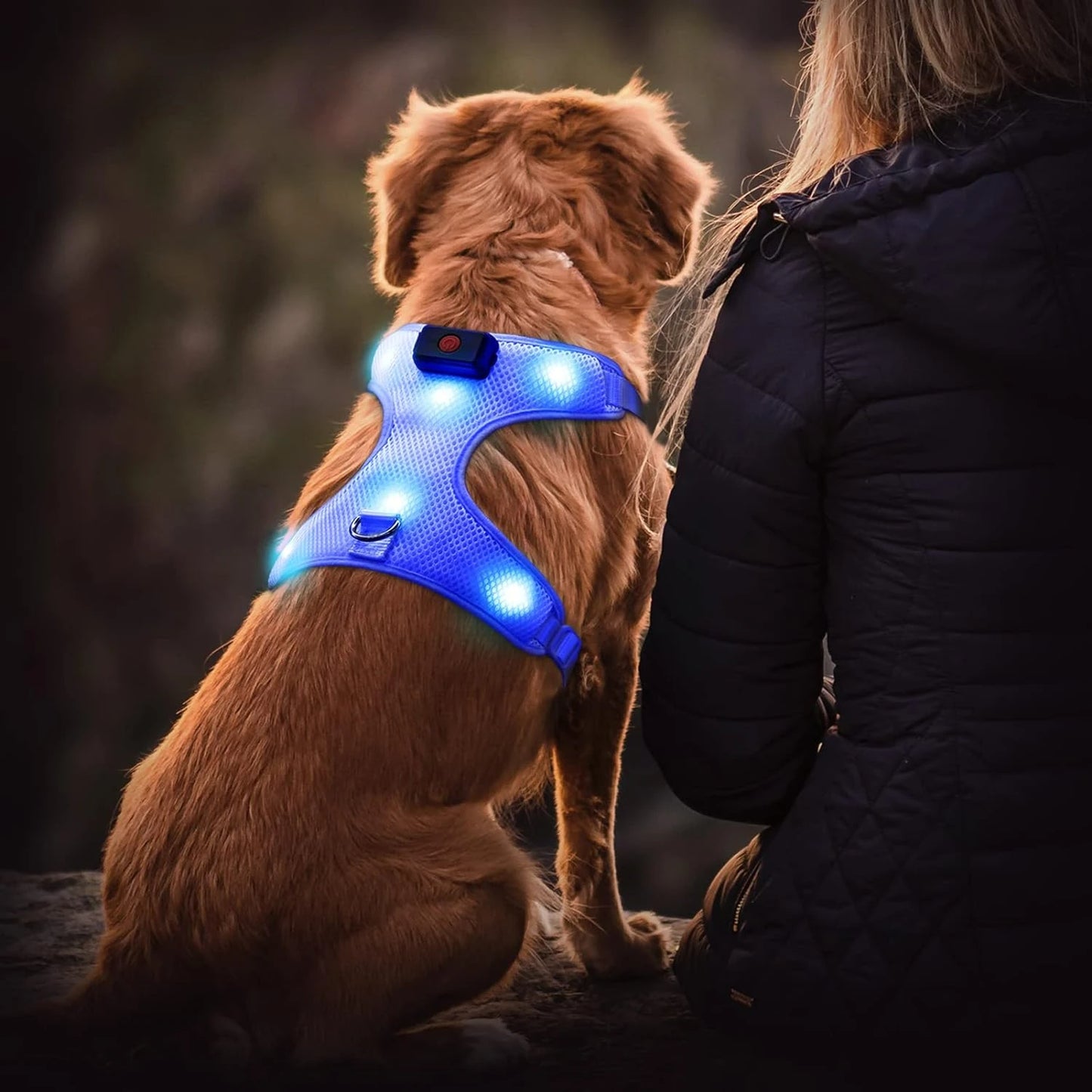Glowing LED Adjustable Dog Harness