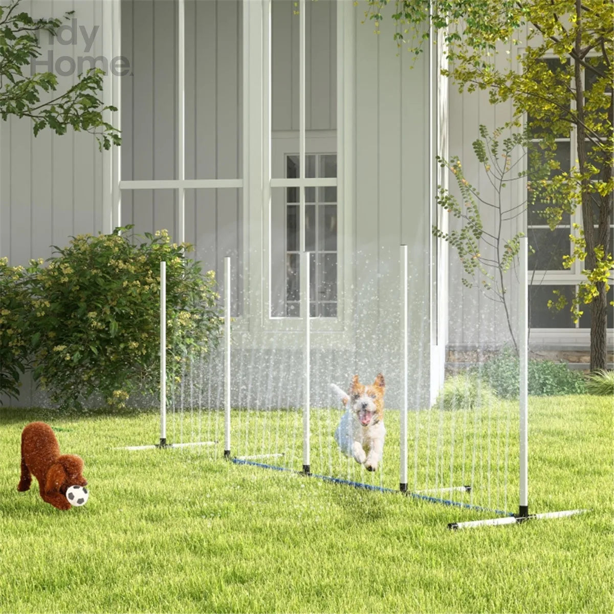 Dog Outdoor Exercise Agility Training Set