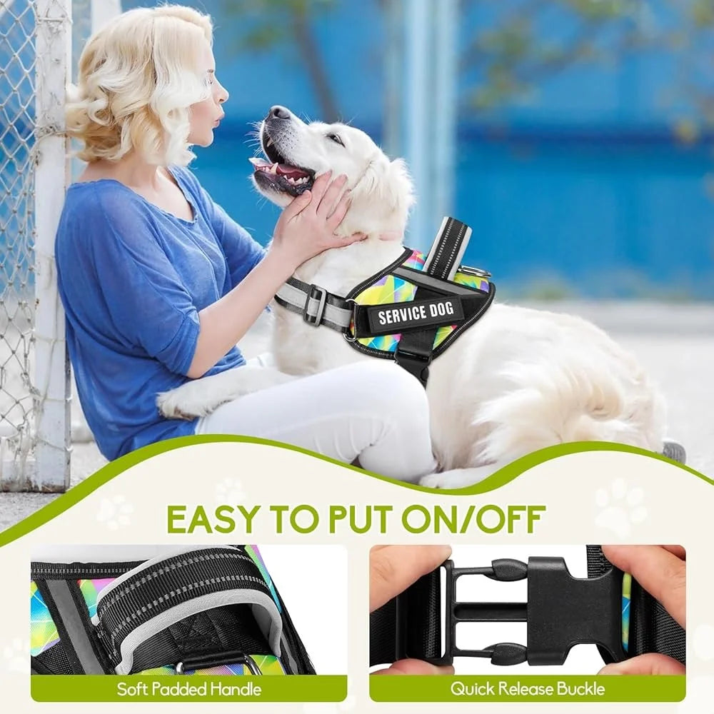 Service Dog Harness Leash Set Reflective No Pull, Training Durable Lightweight Vest