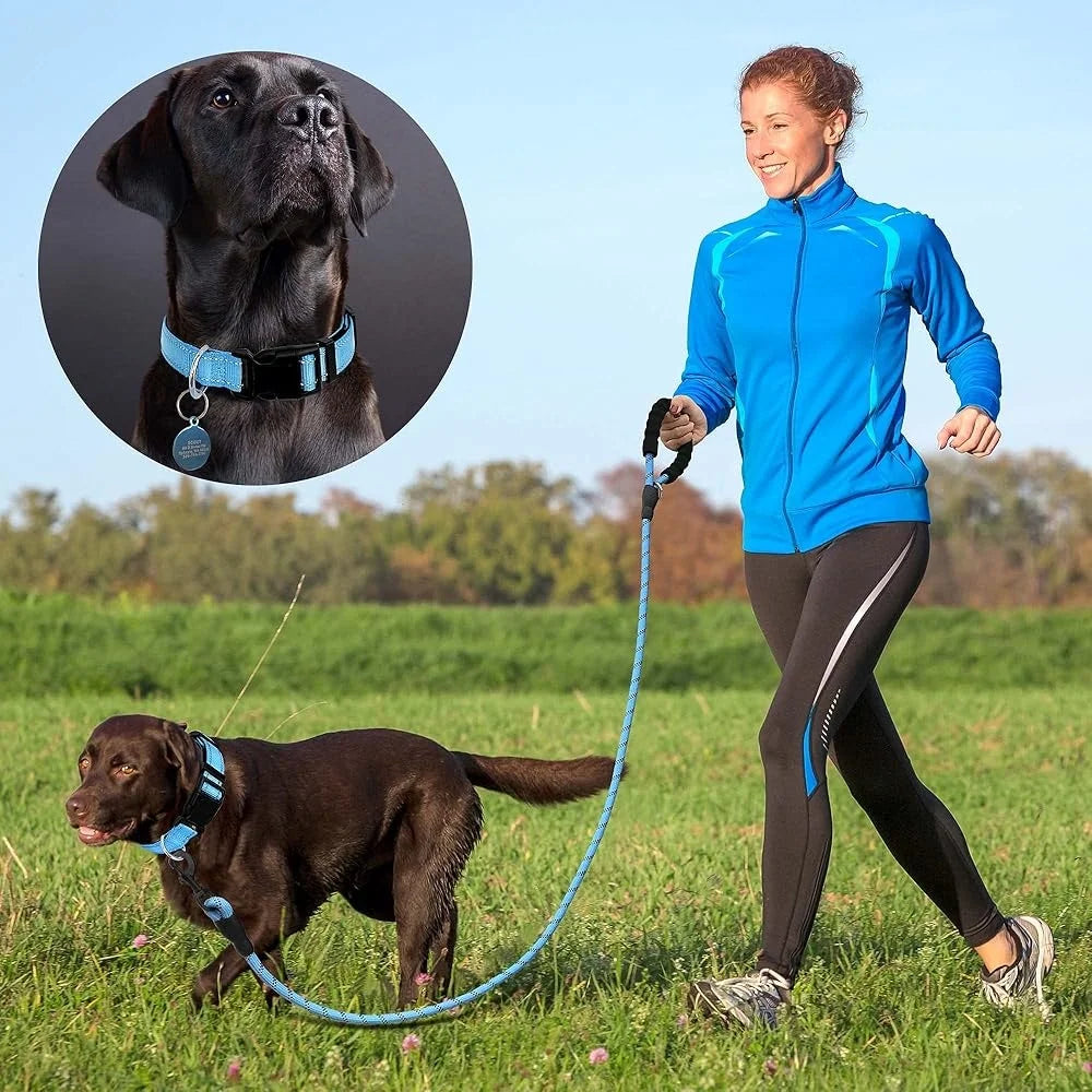 Adjustable Reflective Dog Collar with Bonus 5ft Leash