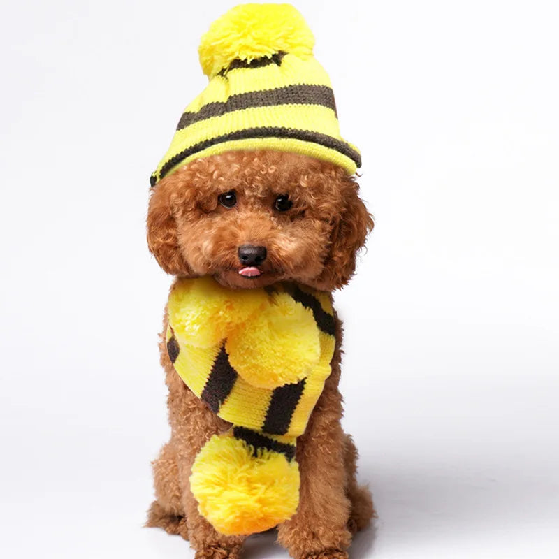 3pcs/Set Dog Cap Winter Knitted Hat, Scarf, Leggings- Small Dogs