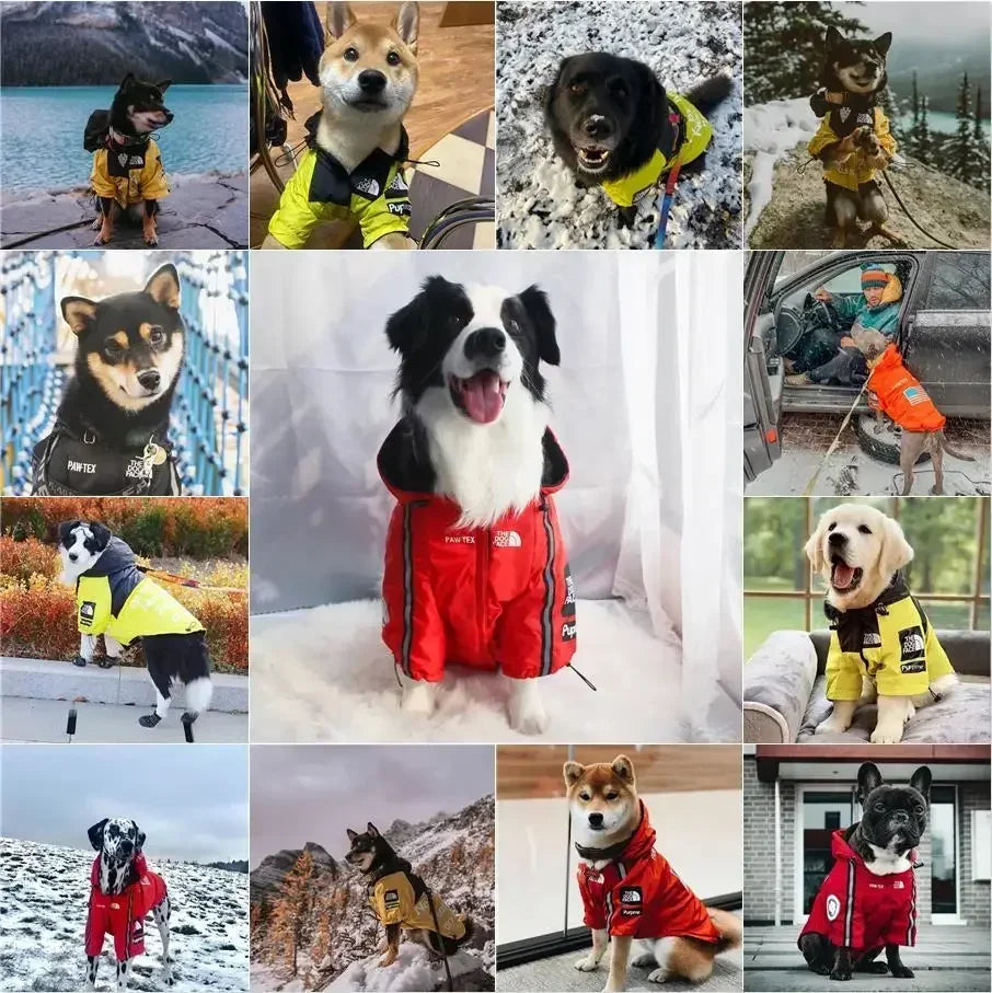 Hooded Jacket Poncho/Raincoat Waterproof Dog Rain Cape