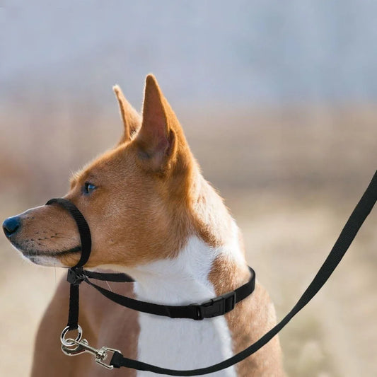 Adjustable Head Collar, Halter, Pulling Gentle Control Leash for Training Dogs