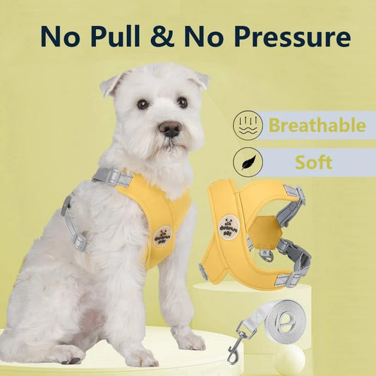 No Pull Adjustable Dog Harness with Vest and Leash Set