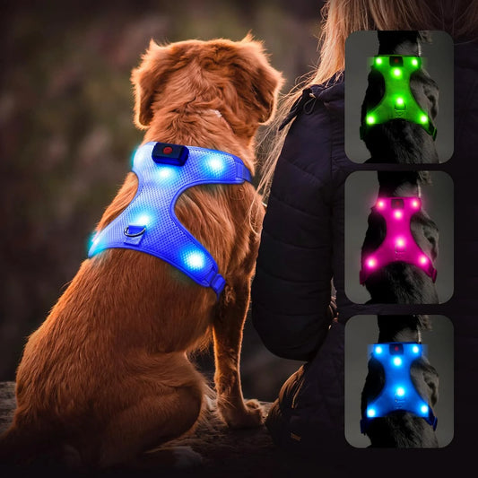 Glowing LED  Adjustable Dog Harness