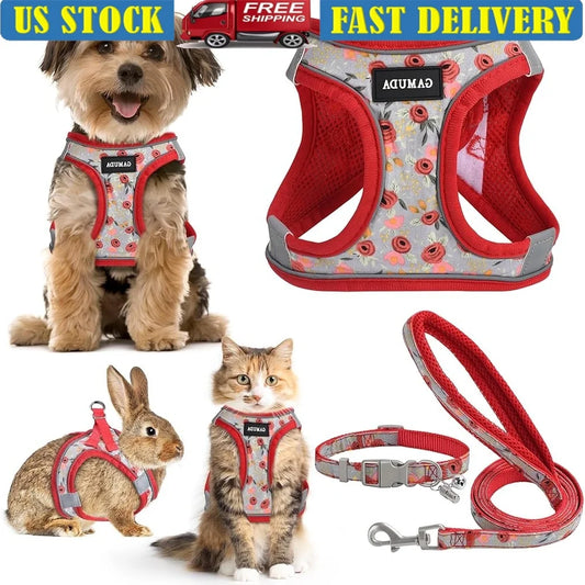 Adjustable Dog Harness Collar Leash Set for Small dog, soft