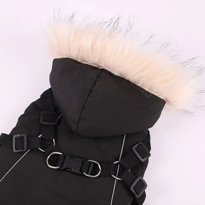 Waterproof, Hooded, Warm, Winter Dog Jacket With Harness