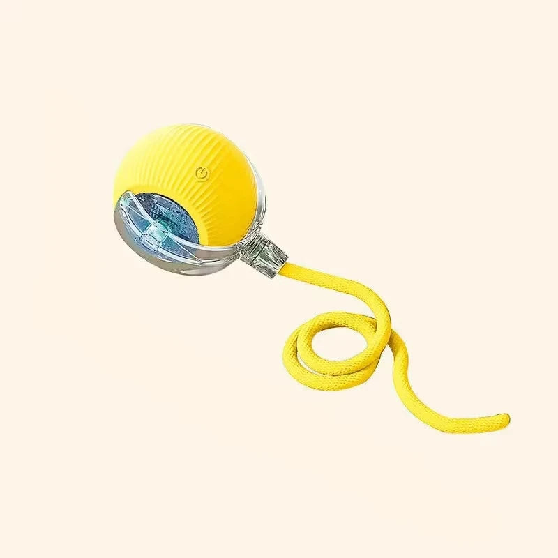 Automatic Rolling Ball. Rechargeable, Interactive Plush Dog Toy
