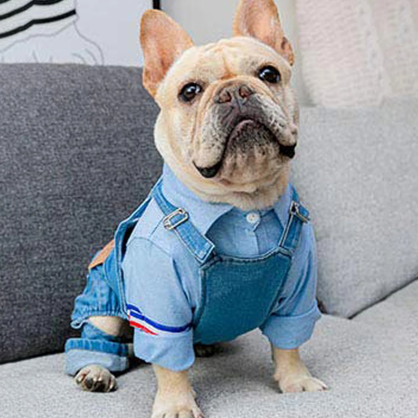 Dog Denim Jumpsuit Dog Outfits