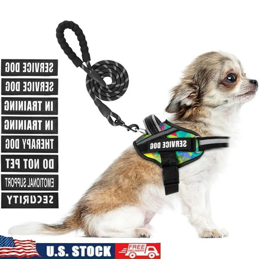 Service Dog Harness Leash Set Reflective No Pull, Training Durable Lightweight Vest