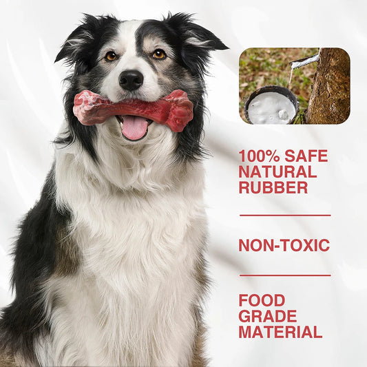 Aggressive Chewers, Bone-Shaped, Indestructible Nylon for Large Dogs