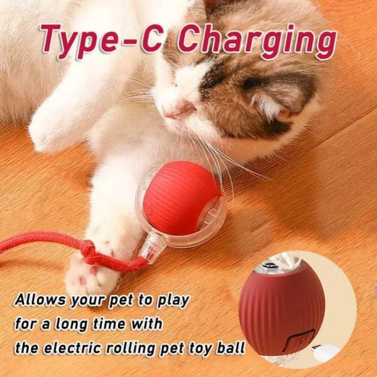 Automatic Rolling Ball. Rechargeable, Interactive Plush Dog Toy