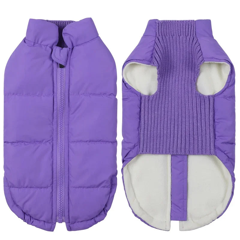 Winter, Warm, Windproof, Dog Cotton Coat Back Zipper