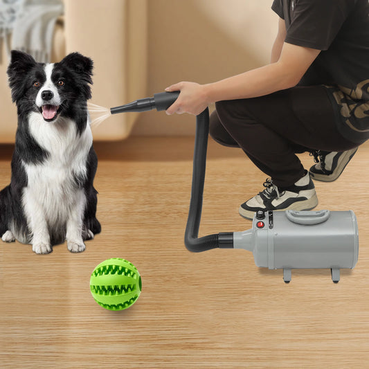 Dog Electric, Adjustable Wind, Two Temperatures,  4 Nozzles,  Hair Dryer/Blower