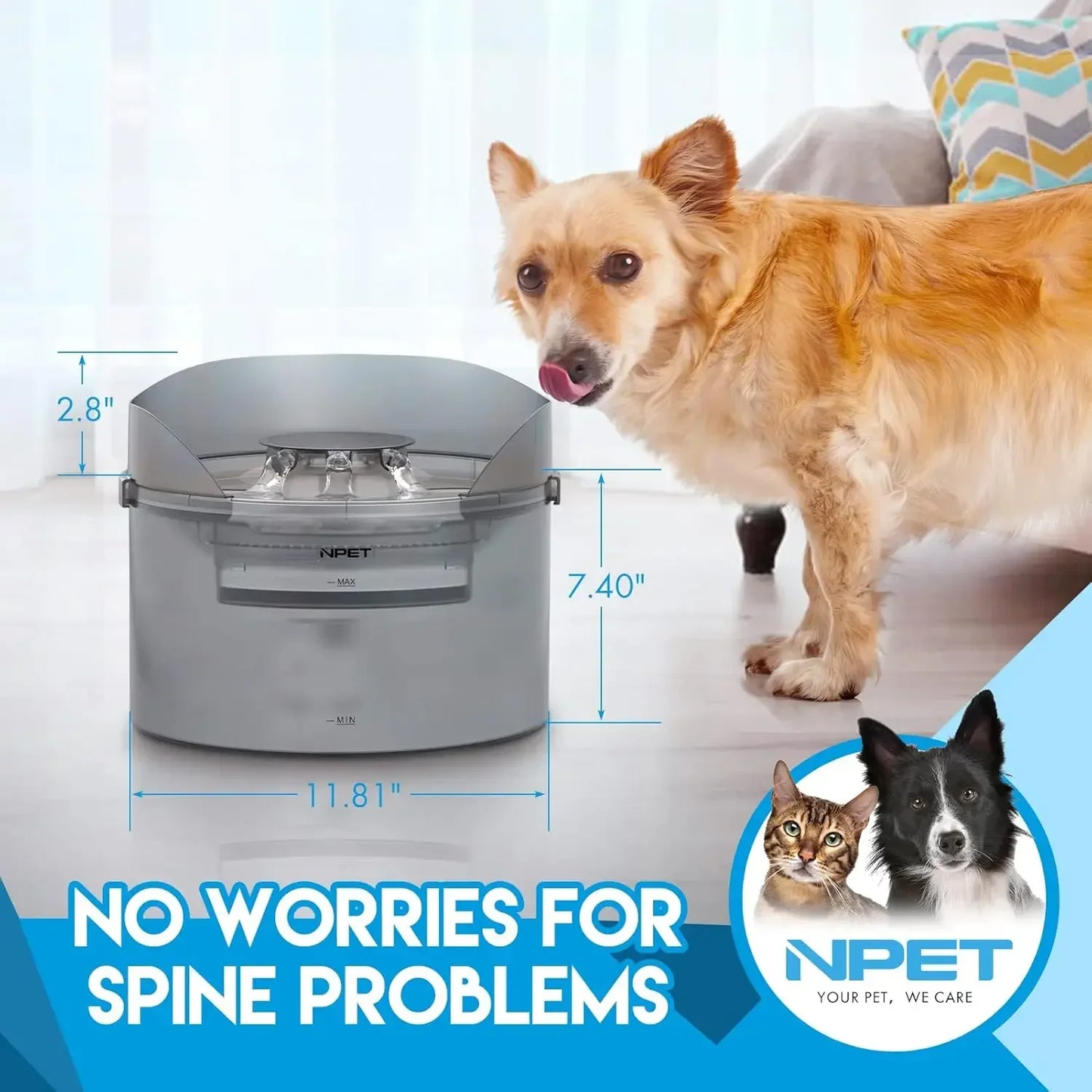 Dog 2 Gallon Automatic Dog Water Dispenser/ Fountain with Splatter Guard