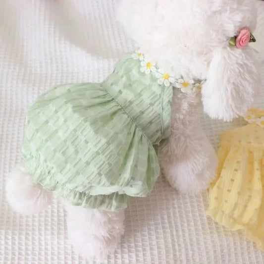 Dogs Dress Yollow Daisy Cute Mascotas