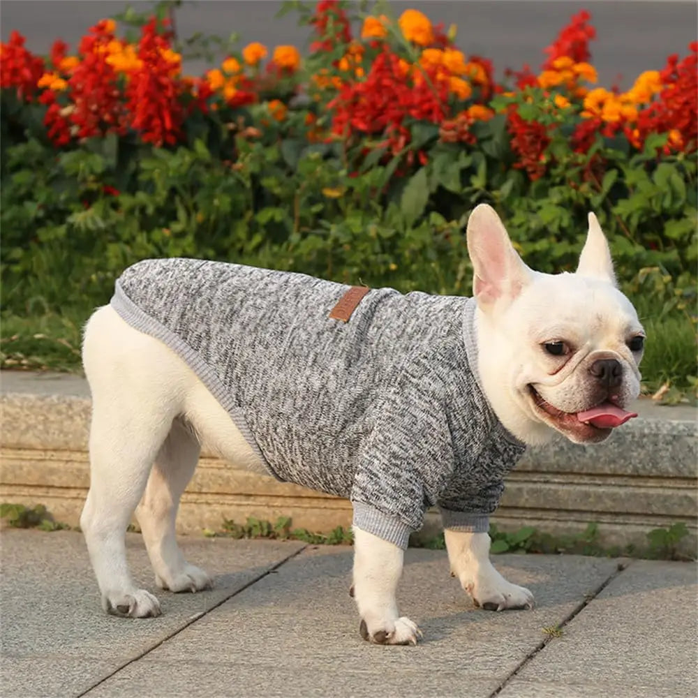 Warm Dog Sweater