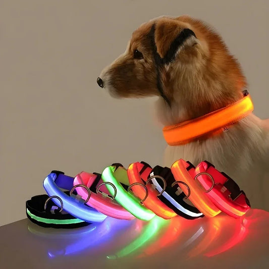 Flashing Glow In The Dark LED Dog Collar Nylon