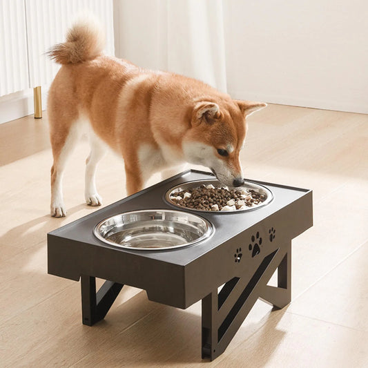 Stainless Steel, Elevated, Non-Slip, No Spill Dog Bowl, Promotes Healthy Digestion