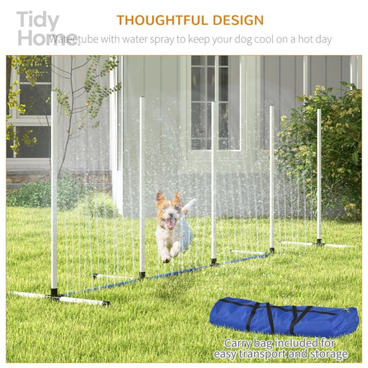 Dog Outdoor Exercise Agility Training Set