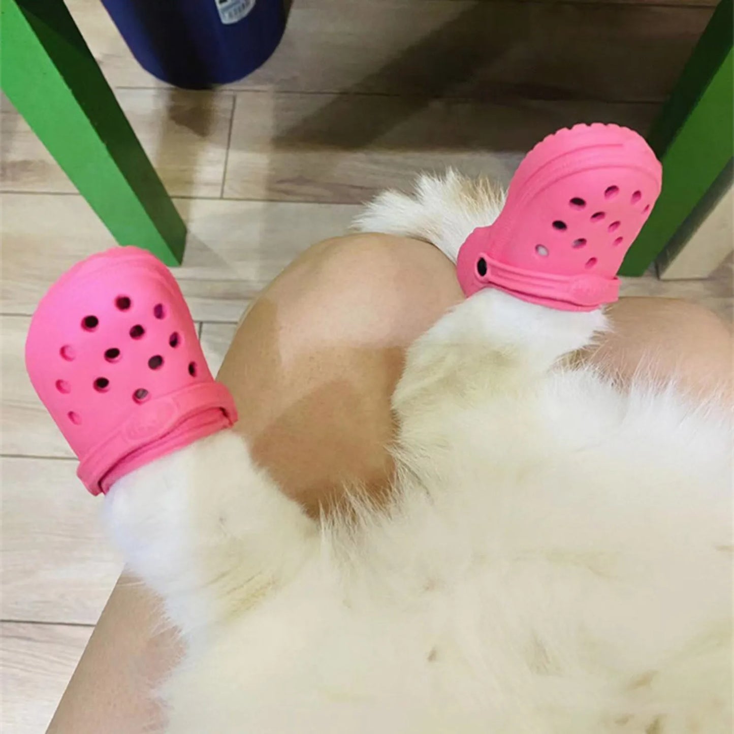 Dog Decorative Shoes