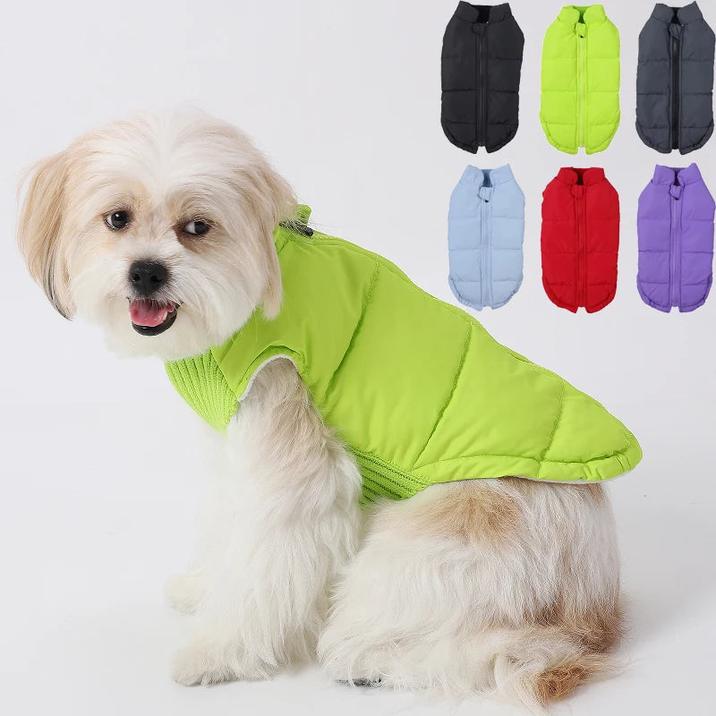 Winter, Warm, Windproof, Dog Cotton Coat Back Zipper