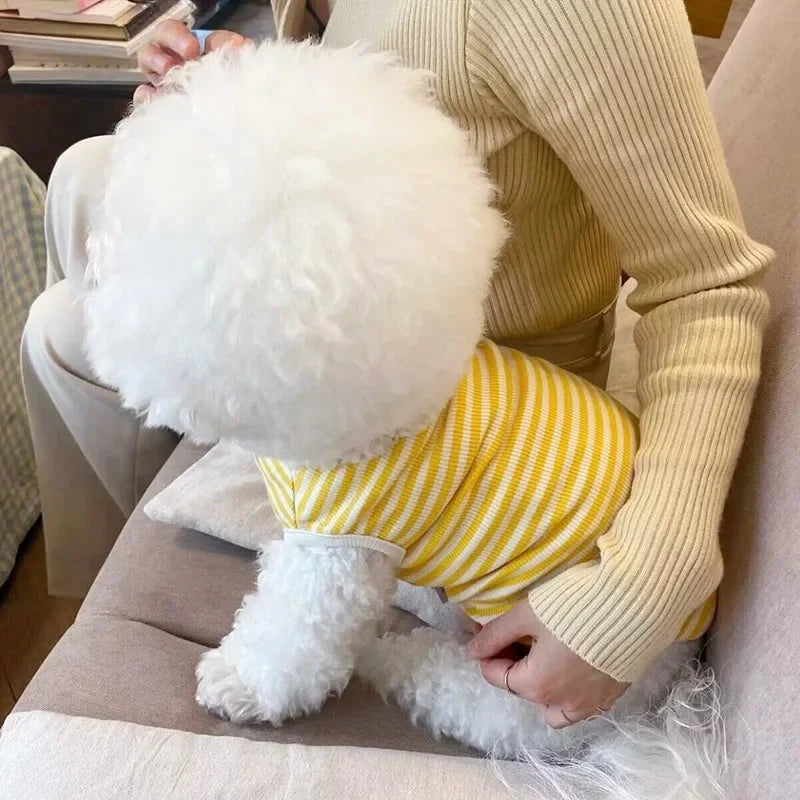 Dog Striped Sweatshirt  for Small Dog Clothes