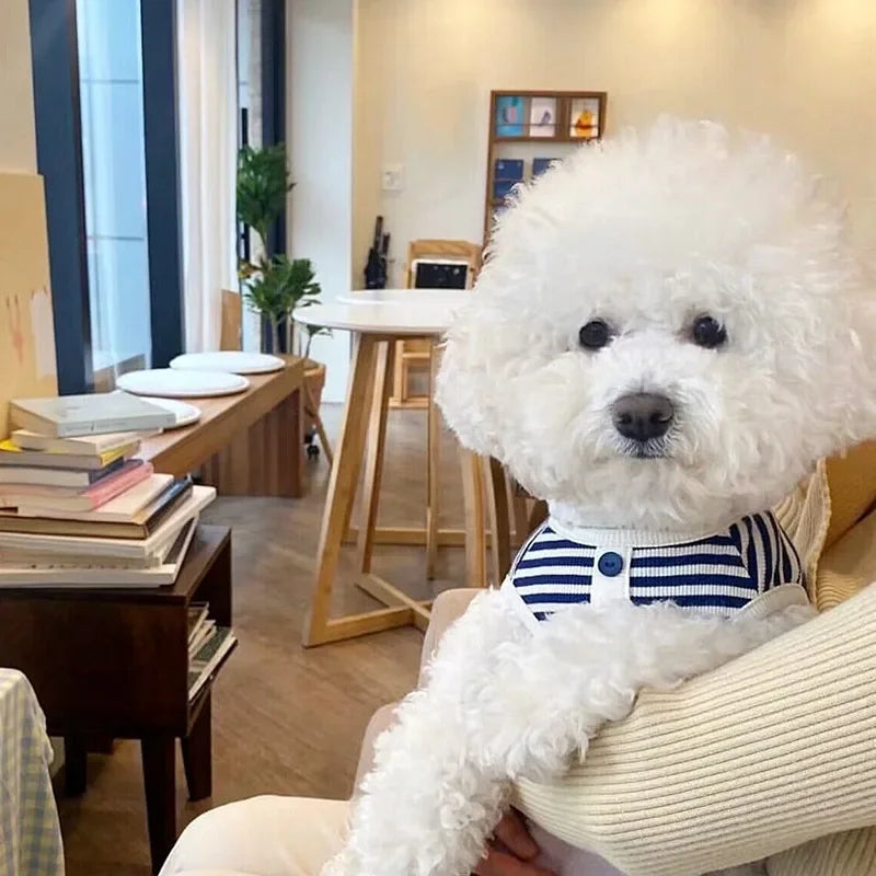 Dog Striped Sweatshirt  for Small Dog Clothes