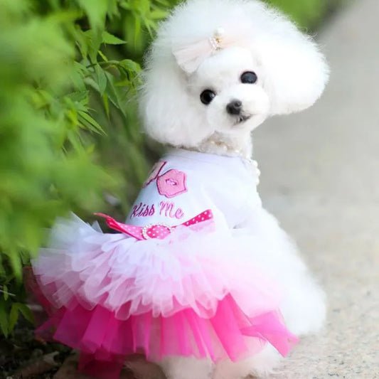 Dog Princess Dress with Lace Tutu